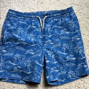 Fair Harbor Blue Island Hopper Swim Trunks